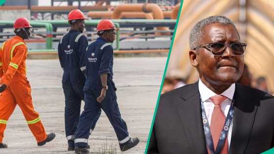 Dangote launches Fleet Management Graduate Programme for young Nigerians