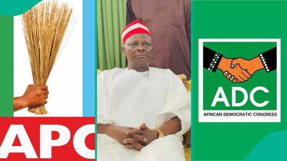 2027 election: Top political stakeholder mentions party Kwankwaso would choose between APC, ADC