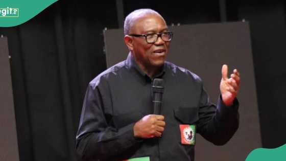 PDP chieftain mentions one thing Peter Obi needs to do to Win 2027 elections