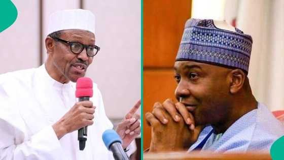 Former Senate president breaks silence on why Buhari allegedly intimidated, harassed him