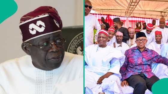 2027 election: Momodu makes claim on Tinubu allegedly forcing Obi, Kwankwaso to work together