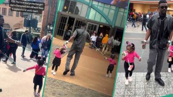 People stare as overprotective dad uses leash to hold his 2 daughters at Disneyland, video trends
