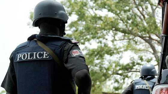 Nigerian man arrested for selling sawdust, cement, POP powder as herbal medicine for malaria, other ailments