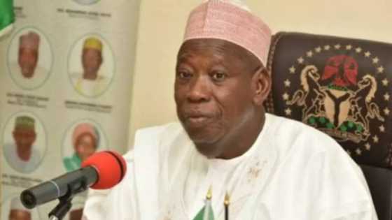 'Yan Bindiga Sun Fara Yin Kaka-gida a Dazukan Kano, Ganduje