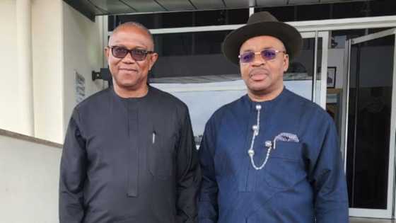 2023 polls: Peter Obi intensifies campaign strategy, holds crucial meeting with powerful southern PDP governor