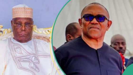 'Yan adawa sun tashi tsaye, PDP za ta gana da manyan jagororin ADC, Atiku da Peter Obi