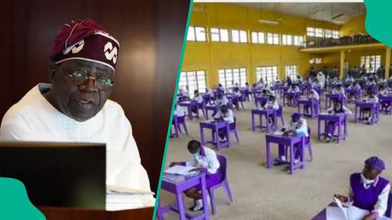 Flashback: Year Tinubu couldn't pay for WAEC over increment as gov of Lagos
