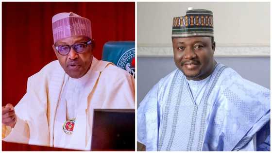 ASUU strike: Govt undermining educational sector, says Shettima Yerima