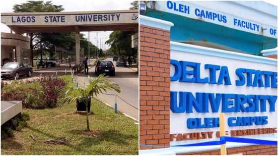 2023 Admission: List of state universities selling post-UTME, announce cut-off marks