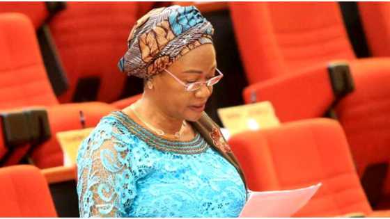 Reactions trail 2019 video of Tinubu's wife threatening to invoke ‘Deities of Lagos’ to chase away Igbos