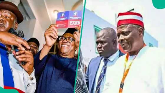 Gobarar titi: Jigon ADC ya hango alherin sauya shekar Kwankwaso ga 'yan adawa