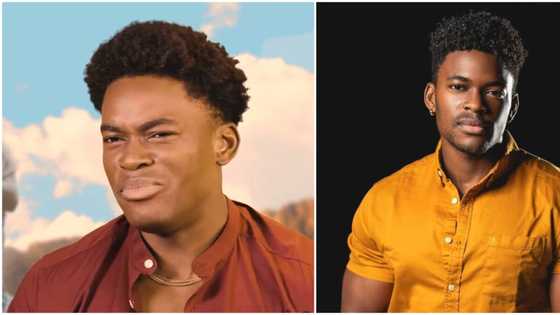 "Biggie wey no too well before": Biggie encourages Marvin to use furniture as weightlifting equipment