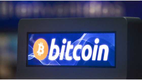 Bitcoin investors warned to expect more losses as top US bank predicts biggest crash