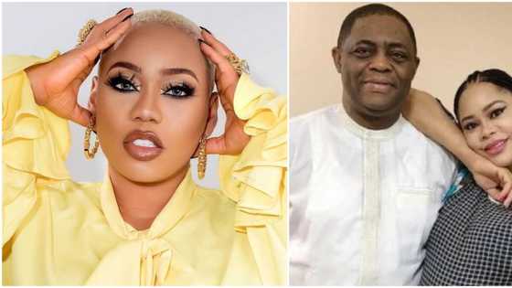 You are a bully, drop your ego: Toyin Lawani slams Fani-Kayode, begs Nigerians to support Precious Chikwendu