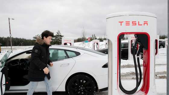 Norway's electric car sales set new world record