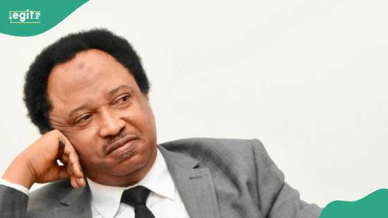 Reasons Why I dumped PDP to return to APC – Shehu Sani spills