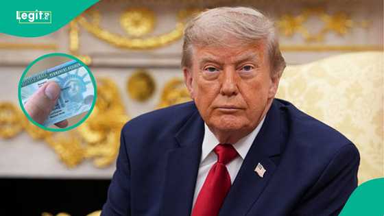 2026 Green Card lottery: US publishes selection figures and next steps for winners