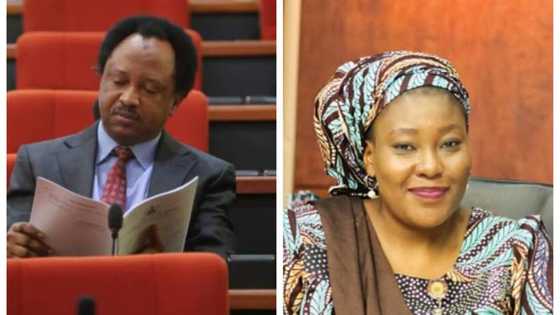 Cacar baki ta kaure da Sanatan Kaduna da kuma Mukarraban Gwamna El-Rufai