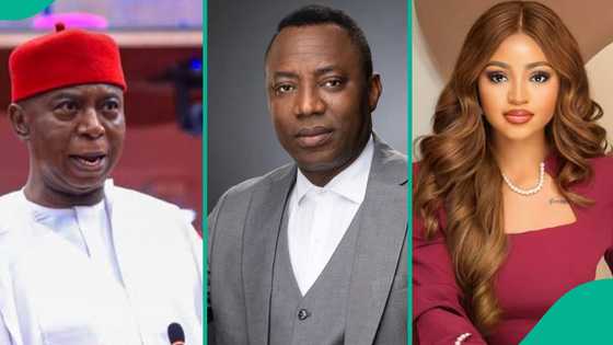 “What Ned Nwoko planned with Regina Daniels’ private videos”: Sowore spills in new interview