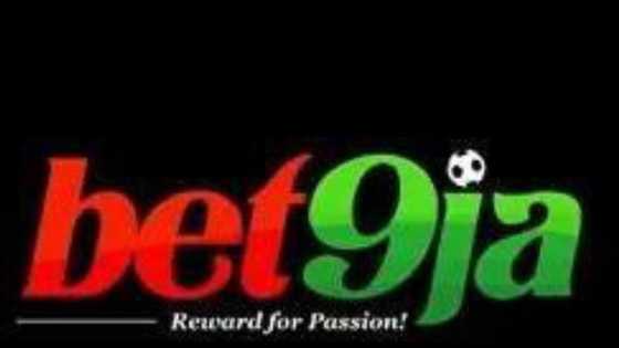 Bet9ja casino: games, odds, winnings, reviews, more details