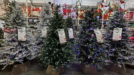 Despite doubts over economy, Americans set for record holiday spending