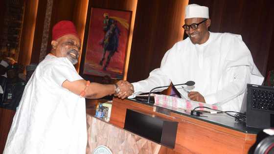 Presidency 2023: What I will do before resigning, minister speaks after Buhari's directive