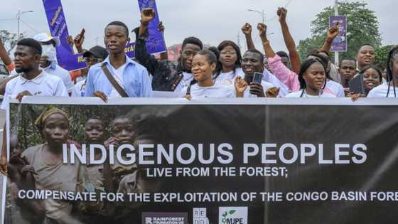 Green protest hits DR Congo ahead of climate summit