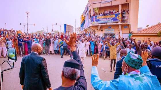 Osinbajo has carved a niche for himself, says Abdullahi Ganduje