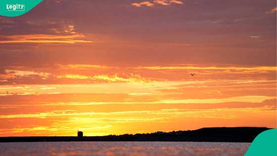 Extreme heat: Temperatures near 50C spark evacuations and power outages in Australia