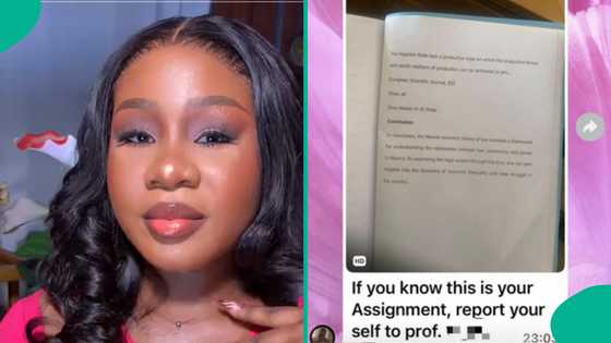 Lady shares what she saw in class WhatsApp group as someone uses AI for school assignment