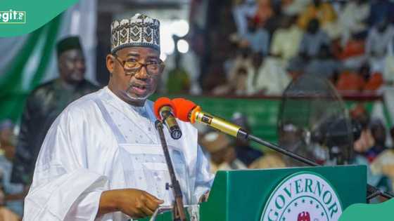 Fresh crisis loom as Bauchi gov backs Ningi, faults Senate's suspension