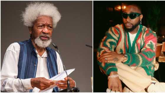 Wole Soyinka Ya Goyi Bayan Davido Kan Bidiyon 'Jaye Lo': "Rawa a Gaban Masallaci Ba Tsokana Bane, Kada Ka Bada Hakuri"