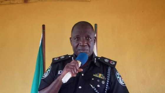 Ban on open grazing: Police reveal those behind threats to attack Delta state