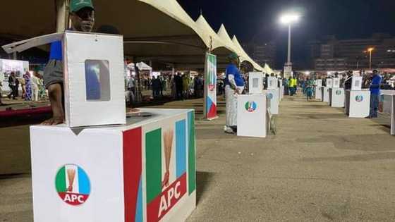 Breaking: Amid ballot sorting, Tinubu claims early lead in APC presidential primary