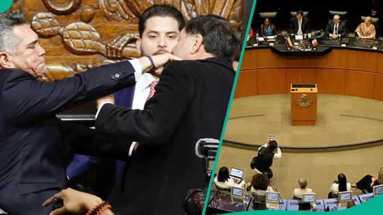 Mexico: Rigima ta barke a Majalisar Dattawa, sanata ya naushi shugaba a wuya