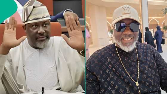 Dino Melaye faces criticism over luxury wear at ADC protest in Abuja: "That T-shirt can create jobs"