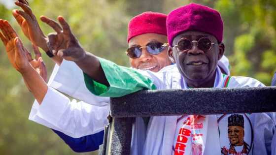 Zaben 2023: Tinubu Ya Lallasa Atiku A Jihar Jigawa, Ya Lashe Kananan Hukumomi 21 cikin 27, Cikakken Sakamako