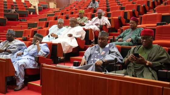 APC ex-governors ignore ruling party, move to take over Senate presidency