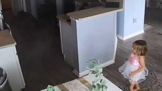 4-year-old girl hailed as hero after saving her family's house from fire