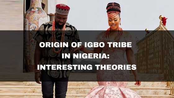 Origin of Igbo tribe in Nigeria: Interesting theories to know