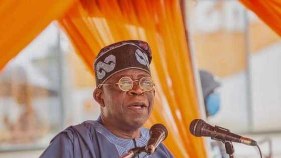 Tinubu unfit for 2023 polls? Northern group sends timely message to Nigerians
