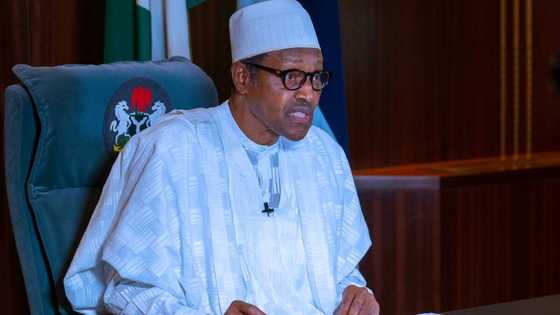 Nnamdi Kanu: Activist reveals why Buhari may be wary of releasing IPOB's leader