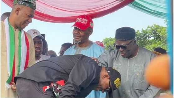 2023 presidency: Photo emerges as Afenifere's Pa Adebanjo blesses Peter Obi