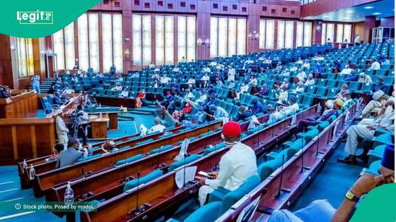 Reps speaks on operation of more refineries to join Dangote for petroleum production