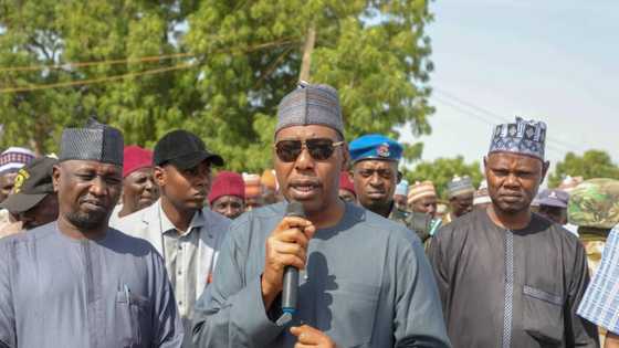 Insecurity: APC governors commend Zulum for inspirational leadership