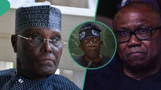 Kai Tsaye: Kotun Koli Ta Fara Sauraron Daukaka Karar Peter Obi, Atiku Kan Nasarar Tinubu