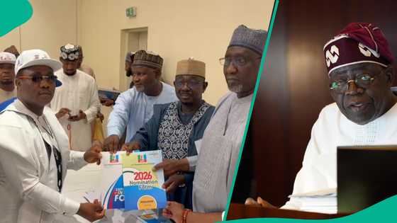 Tinubu ya samu kishiya, jigon APC zai fafata da shi a zaben fitar da gwani