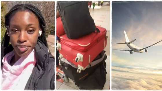 "I got my study visa within 5 days": Lady gets visa without any stress, relocates to Canada within 6 weeks