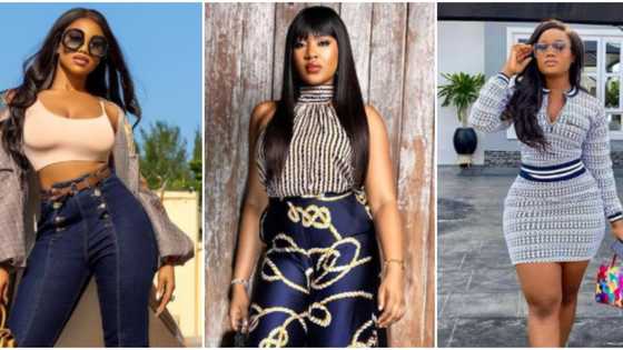 Tacha, Erica, Cee-c: Iron ladies who gave a rough time on BBNaija and how they are faring now