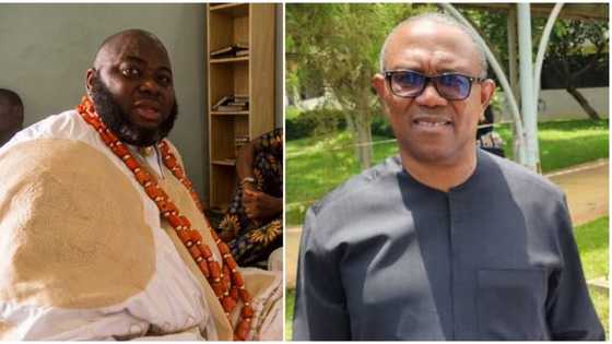2023 election: Sole reason Peter Obi was “recruited”, Asari Dokubo makes stunning revelation